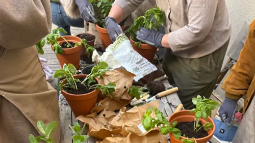 Painting & Planting: Basil Edition in Vienna