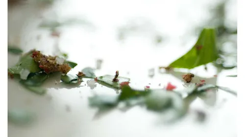 Close-up of mixed herbs on white surface.
