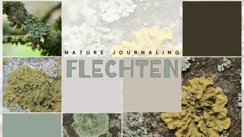 Nature Journaling: Flechten & wilde Muster in Solingen