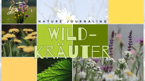 Wildblumen mit Text 'WILD-KRÄUTER' und Naturthema.