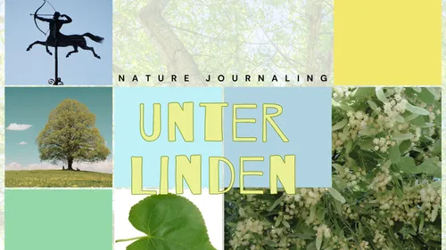 Collage of nature images with trees and leaves.