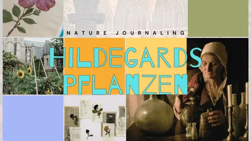 Hildegards historisches Pflanzenwissen in Solingen