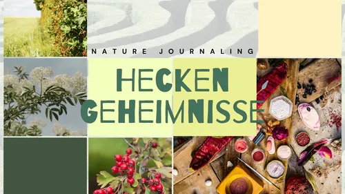 Nature items arranged with plants and text.