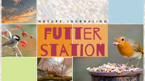 Familienworkshop in Solingen: Vogelfutterstation bauen