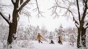 Personen ziehen einen Schlitten durch verschneiten Wald.