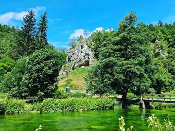 Green river flows under trees and rocks in nature.
