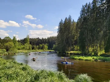 Two kayaks ride on a quiet river between trees.