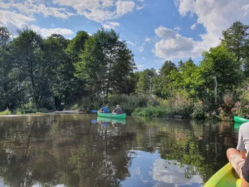 Zwei Kajaks fahren auf ruhigem Wasser zwischen Bäumen.