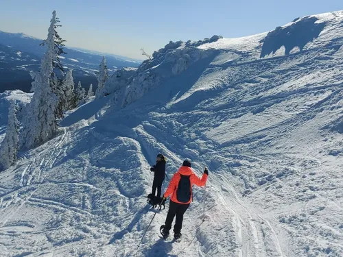 Two people are hiking through a snowy landscape with forest.