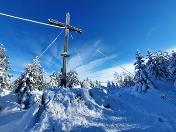 Holzkreuz steht im Schnee, umgeben von verschneiten Bäumen.