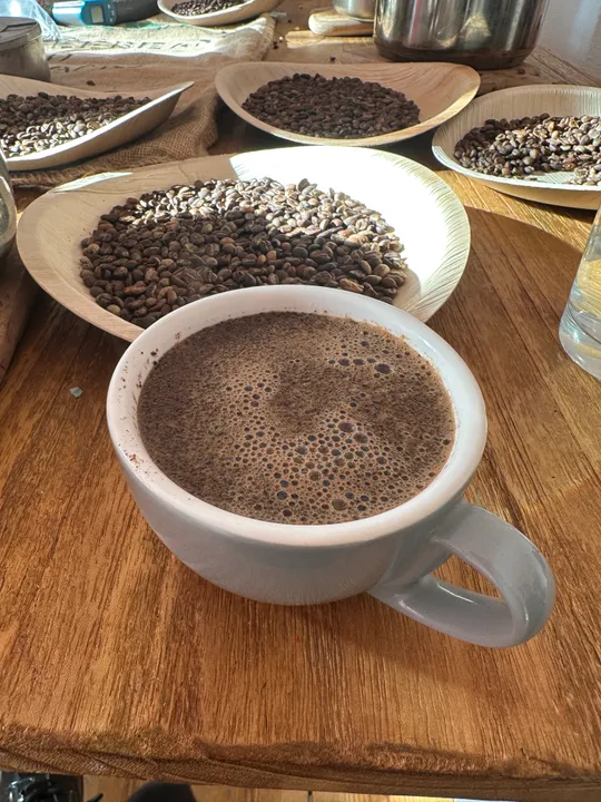 Tasse Kaffee neben Kaffeebohnentabletts.