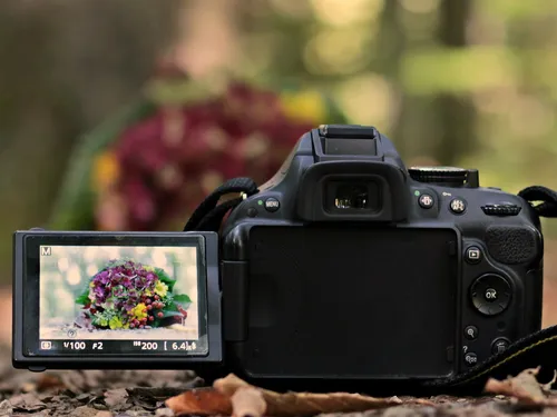 Camera focuses on a bouquet of flowers in the forest.