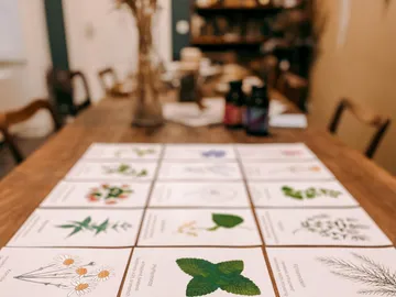 Cards with plant illustrations are on a table.