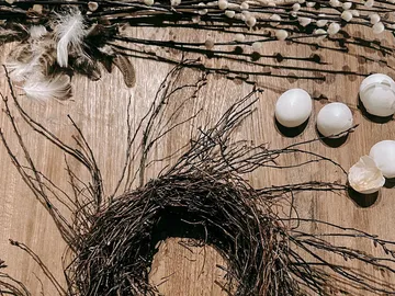 Branches and eggs lie in circles on the wooden surface.
