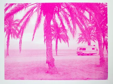 There are palm trees on the beach and a motorhome is parked next to it.