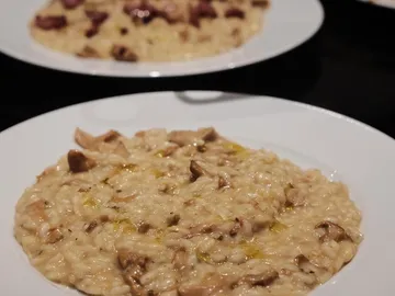 Zwei Teller Risotto, einer cremig mit Pilzen, serviert.