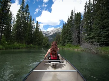 A person is rowing through a forest river in a canoe.