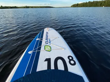 Stand-up paddleboard glides across calm water surrounded by trees.