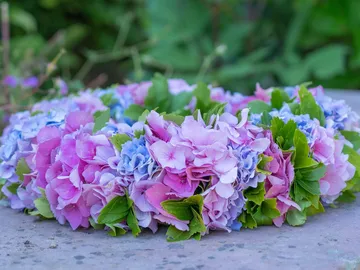 Blumenkranz aus pinken und blauen Hortensien auf Boden.