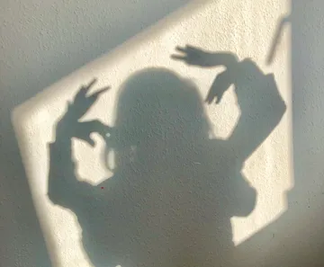 Schatten einer Person gestikuliert an einer Wand.