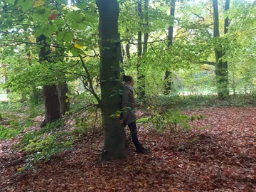 Meditation in the forest