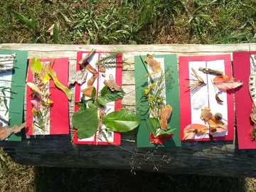 Blätter und Zweige liegen auf farbigem Papier.
