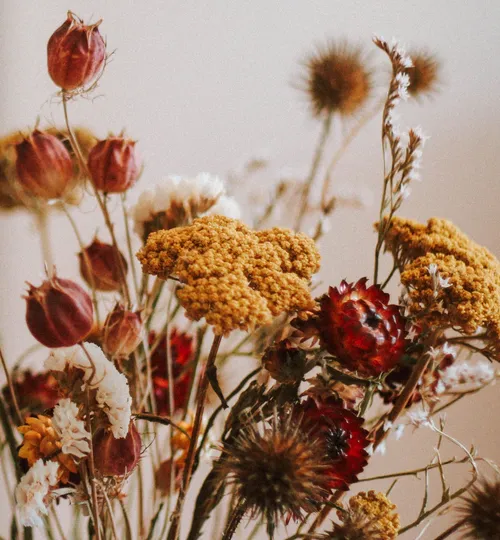 Trockenblumenarrangement steht in einem hellen Raum.