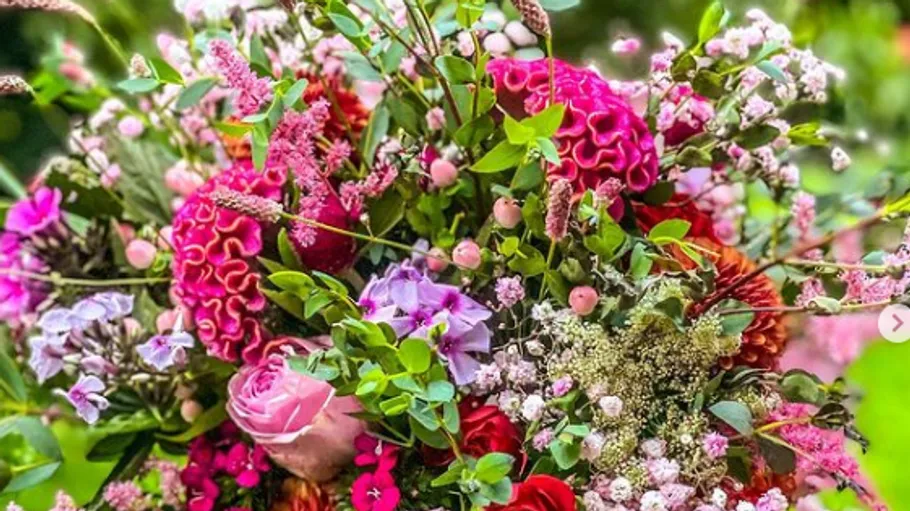 Colourful floral arrangements bloom in a natural setting.
