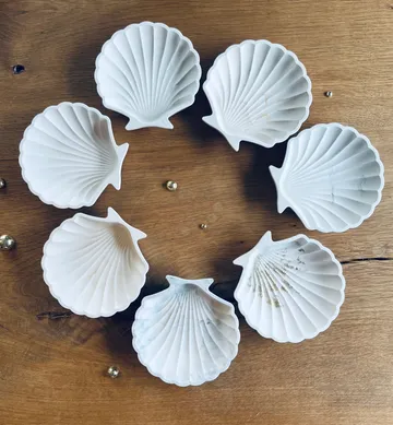 White mussel shells arranged in a circle on a wooden surface.