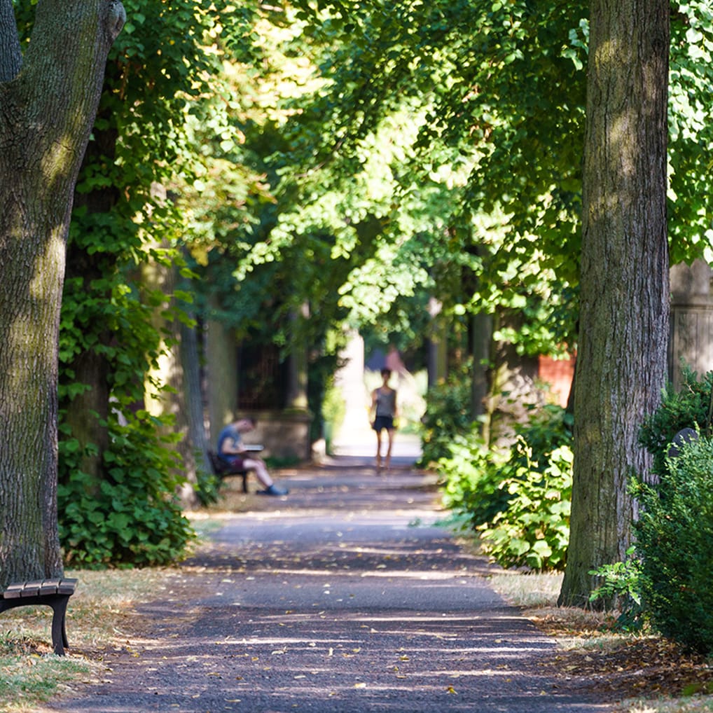 Fotokurs am historischen Friedhof in Berlin