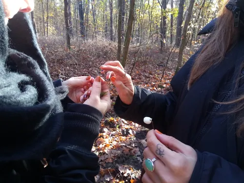 Two people keep small objects in the forest.
