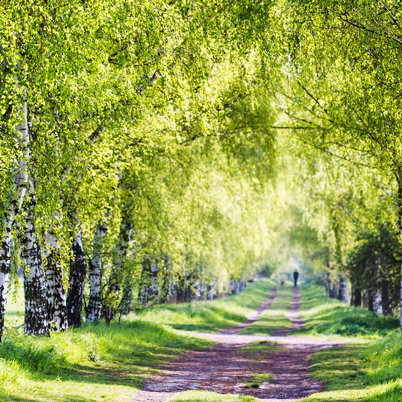 Fotokurs in Berlin: Natur- & Landschaftsfotografie