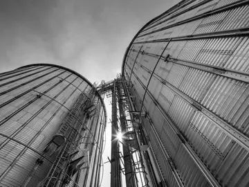 Zwei silberne Silos stehen, Sonnenstrahlen scheinen hindurch.