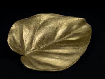 Goldenes Blattobjekt liegt auf schwarzem Untergrund.