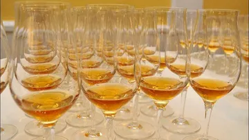 Glasses are placed on a table filled with golden liquid.