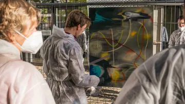 Boy paints a picture in front of spectators wearing protective suits.