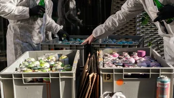 Two people sort cans into boxes outside.