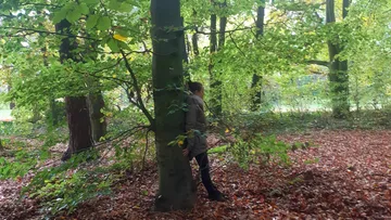 Person leaning against tree surrounded by autumn forest.