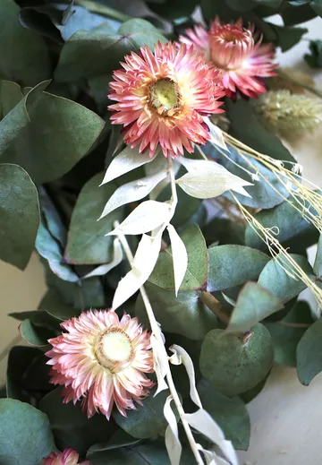 Getrocknete Blumen und grünes Laub liegen zusammen.
