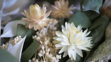 Flowers lie together with dried foliage.