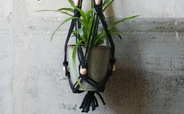 Hängender Blumentopf mit Pflanzen vor einer Betonwand.