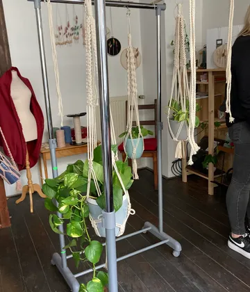 Hängende Pflanzen in einer Galerie, Makramee-Töpfe aus Baumwolle.