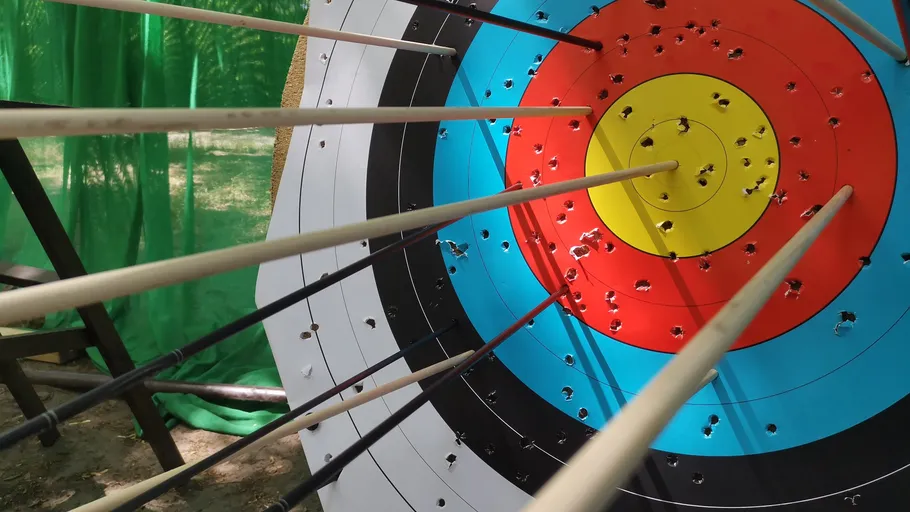 Target with arrows placed outdoors.