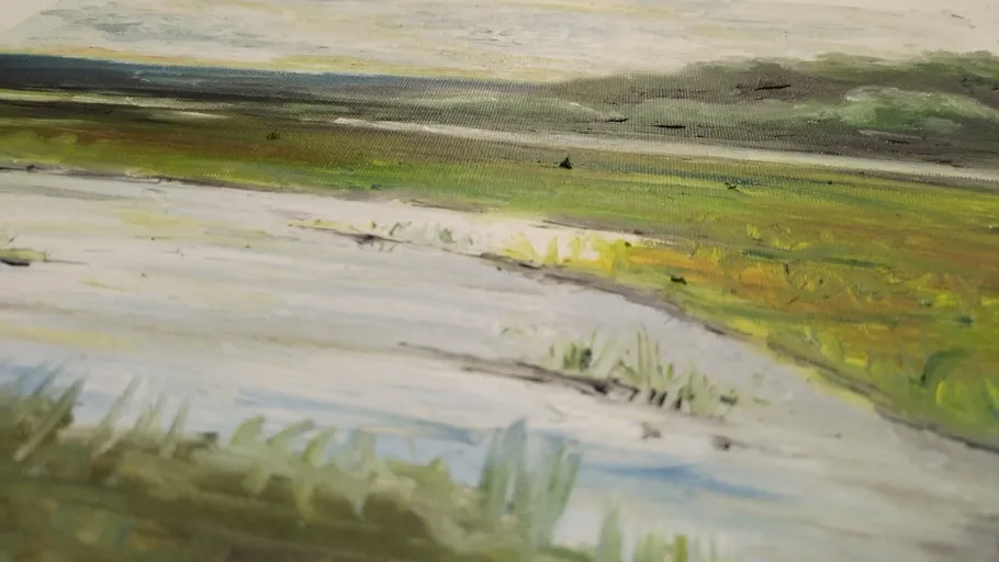 Green grass and water reflect a cloudy sky.