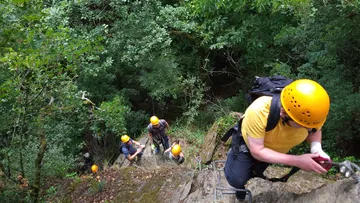 Climbers climb a steep rock in a forest.