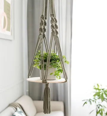 Hanging plant hanger with green plant in pot