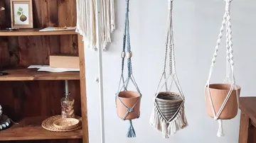 Hängende Blumentöpfe, dekorieren eine holzfarbene Wand.