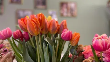 Colourful tulips stand in a decorative flower arrangement.