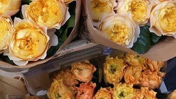 Gelbe Rosen in Papiergewickelten Bouquets, bei flüchtiger Betrachtung.