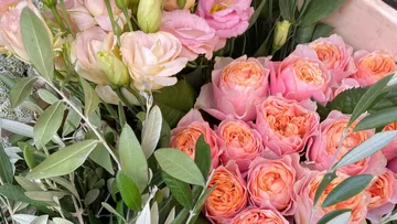 Bunte Blumenarrangements liegen umgeben von grünem Laub.